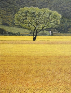 가을풍경(벼)